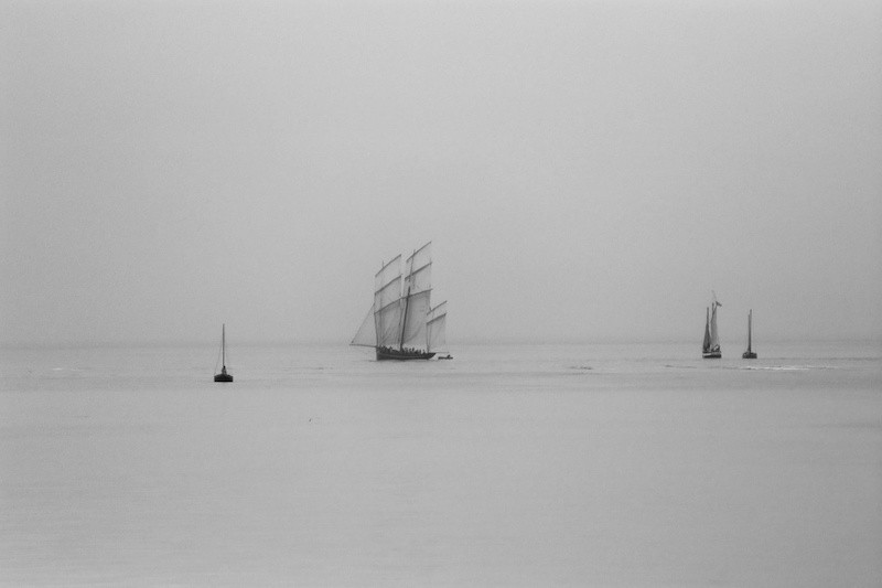dans la brume du matin