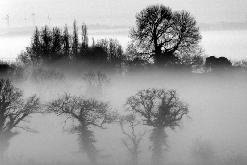 Brume