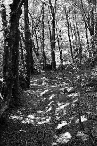 Chemin menant à la chapelle