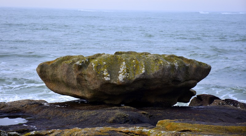 Coquille