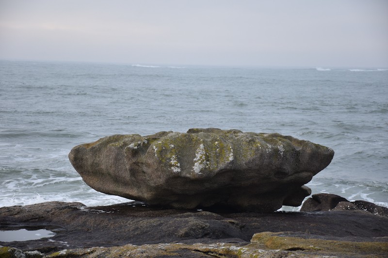 coquille saint Jacques?