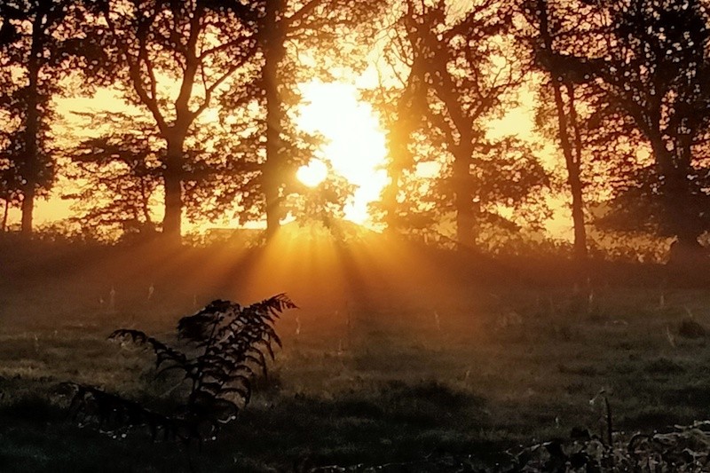 un matin de toussaint