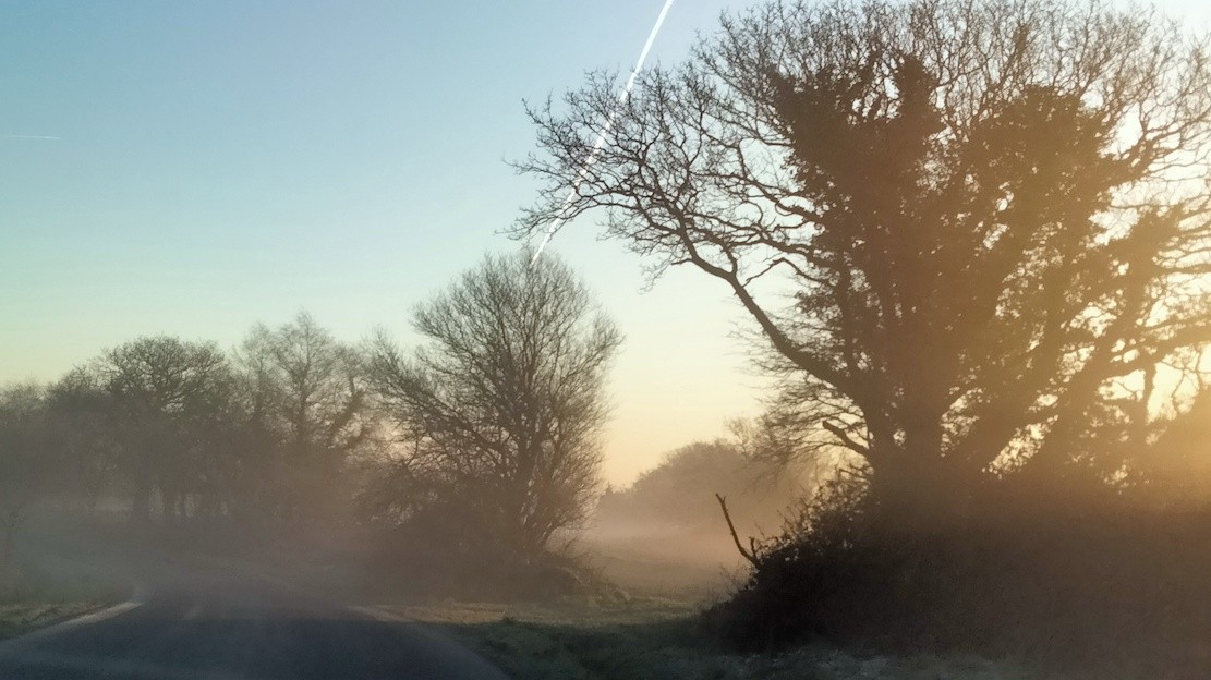 Matin d hiver